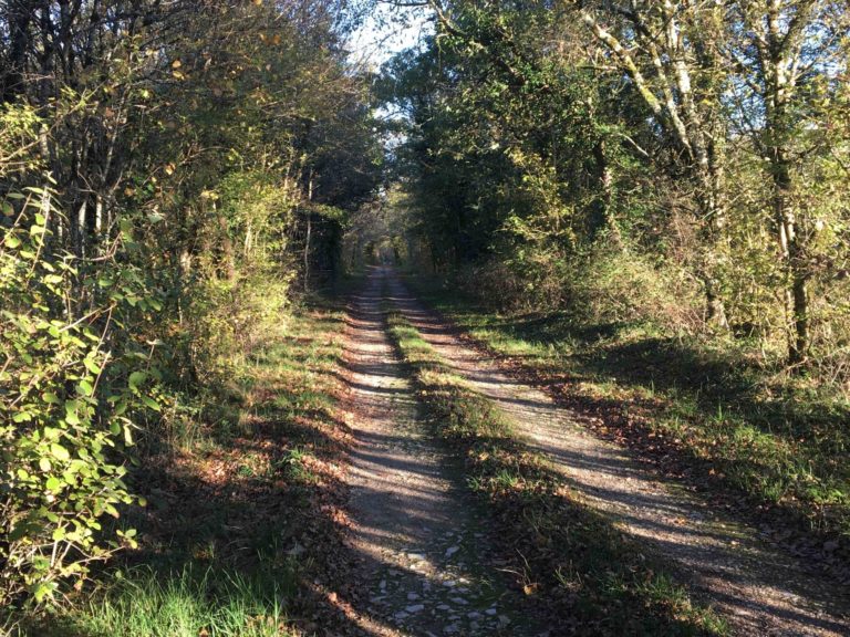 Chemin CN3
